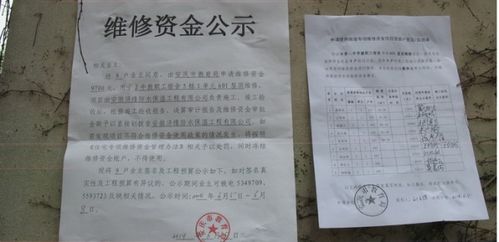 如何撰写一份成功的入户申请书？