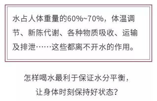 揭秘喝水与排尿的神秘联系，喝水尿多的原因及健康影响