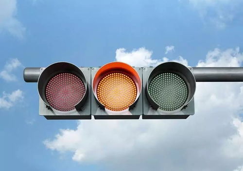 了解政务处分，维护公共秩序的红绿灯
