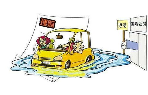 泡水车理赔指南，保险公司如何赔偿及应对策略