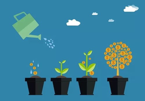 秀山房屋出租，市场动态、租房攻略与投资指南