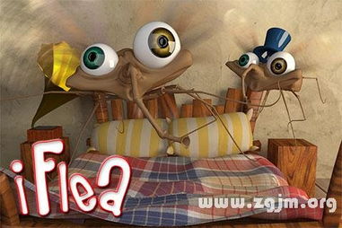 跳蚤，全面消灭指南