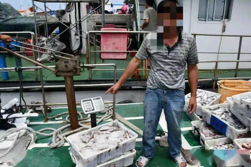 北海律师案，正义与法律的较量