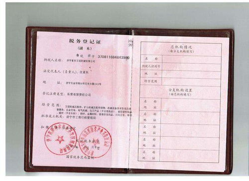 税务登记证有效期，了解、维护与更新指南