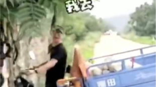 汪峰的意外之旅，三轮摩托车撞树事件背后的启示