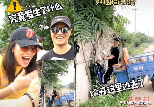 汪峰的意外之旅，三轮摩托车撞树事件背后的启示