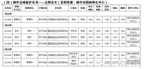 深入了解成绩单公证，流程、重要性及实用指南