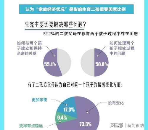 深入解析，计划生育罚款标准及其对家庭的影响