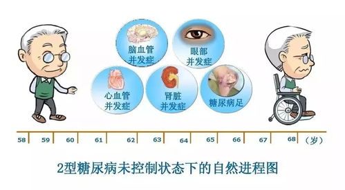 了解淋巴细胞比率偏高，原因、影响与健康指南