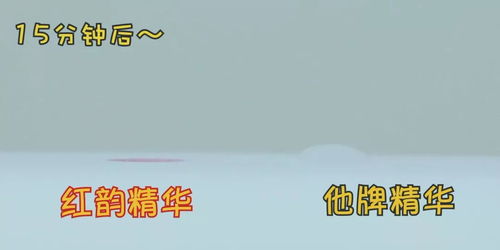一锤定音还是留有余地？揭秘订金与定金的奥秘