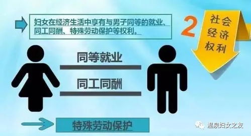 社会经济权利，构建公平与繁荣的基石