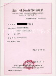 深入了解出口许可证，国际贸易的通行证