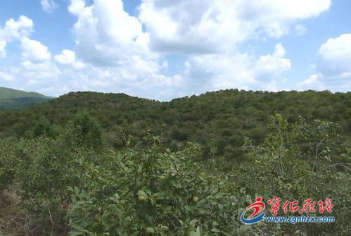 保护绿水青山，从了解水土流失补偿费开始