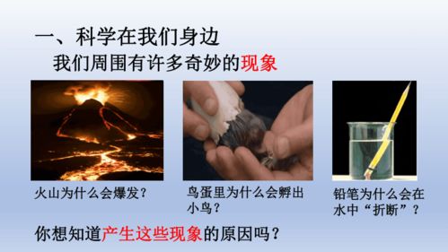 揭开肝病生存期的神秘面纱，科学认识与积极应对