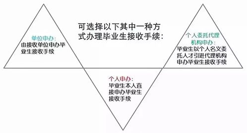 全面指南，撰写落户申请的步骤与技巧
