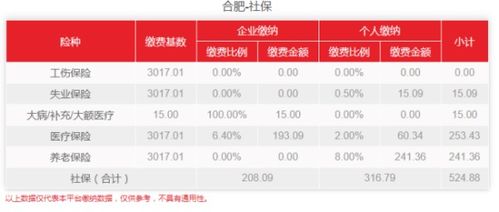 社保交纳指南，轻松掌握您的社会保障