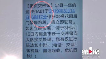 轻松搞定湖州机动车违章查询，再也不用担心罚单！