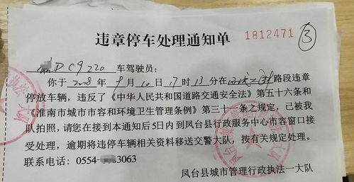 轻松搞定湖州机动车违章查询，再也不用担心罚单！