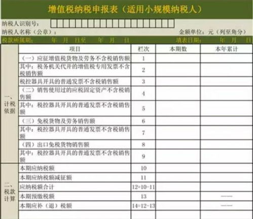 揭秘一般纳税人税率，税收世界的大玩家