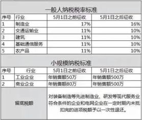 揭秘一般纳税人税率，税收世界的大玩家