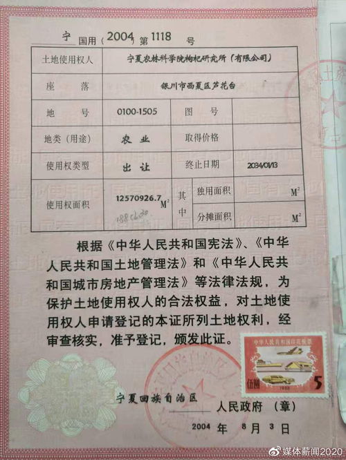 林权证查询全攻略，如何高效查询和保护您的林地权益
