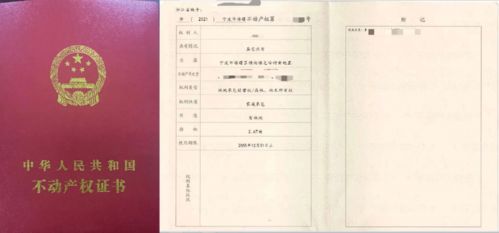 林权证查询全攻略，如何高效查询和保护您的林地权益
