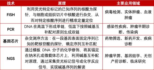技术服务费，揭秘背后的含义与价值