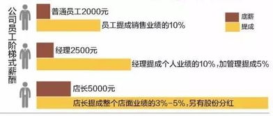 稽核岗位，企业健康体检的守护者