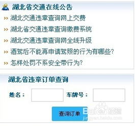 湖北交通网违章查询全攻略