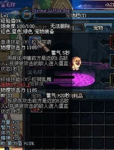 探索DNF金毛球的秘密，如何在游戏中获得优势