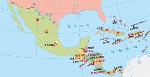 洪都拉斯卷毛，探索中美洲的宝藏