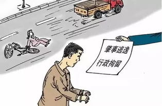交通事故中的法律责任，开车撞死人是否需要承担刑事责任？