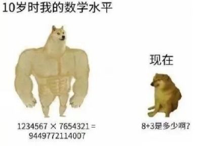 神烦狗Doge，网络迷因的兴起与文化影响