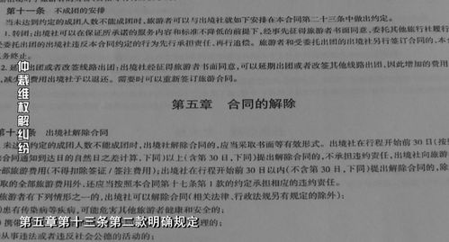 如何撰写一份出色的申请报告，模板与实用指南