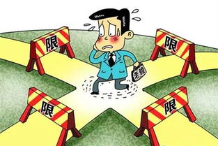 当法律遇上老赖，强制执行措施的威力与智慧
