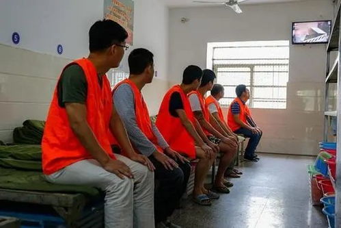 深入了解，看守所与拘留所的区别及法律意义