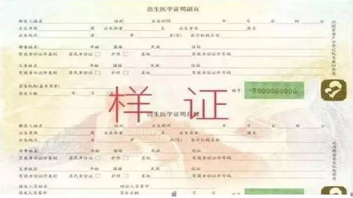出生证明，开启人生旅程的第一份证明