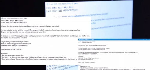 未登记的空白页，人口普查缺失数据的影响