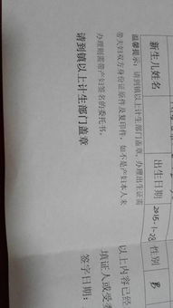 如何撰写一份清晰有效的计划生育证明