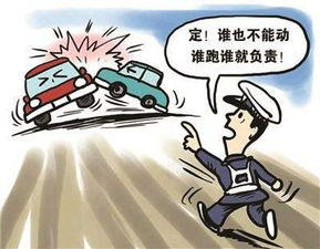 肇事逃逸，法律责任与道德考量