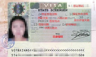 意大利签证办理全攻略，轻松获得旅行通行证