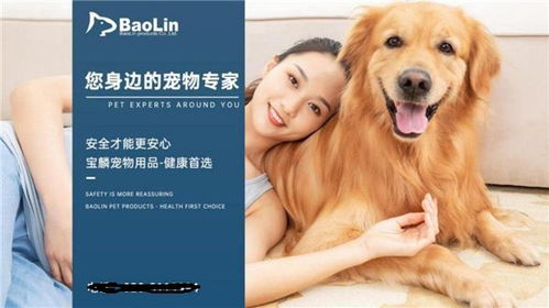 狗用品批发，宠物市场的巨大潜力与经营策略