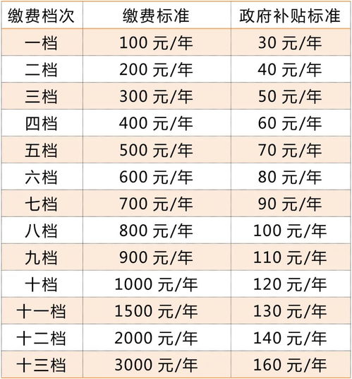 北京社保自己缴纳，全面指南与实用建议