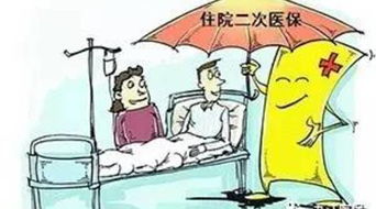 深入了解医保报销，如何最大化您的医疗保障