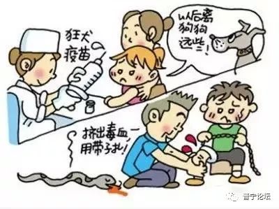 深入了解狂犬疫苗，副作用与预防措施