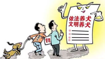 深入了解狂犬疫苗，副作用与预防措施