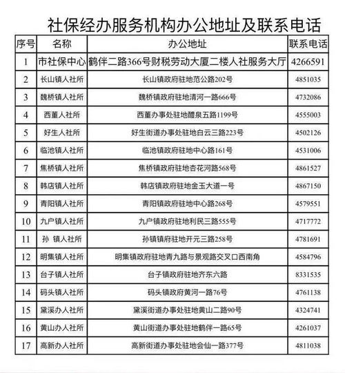深入理解养老保险缴费基数，保障未来的智慧选择
