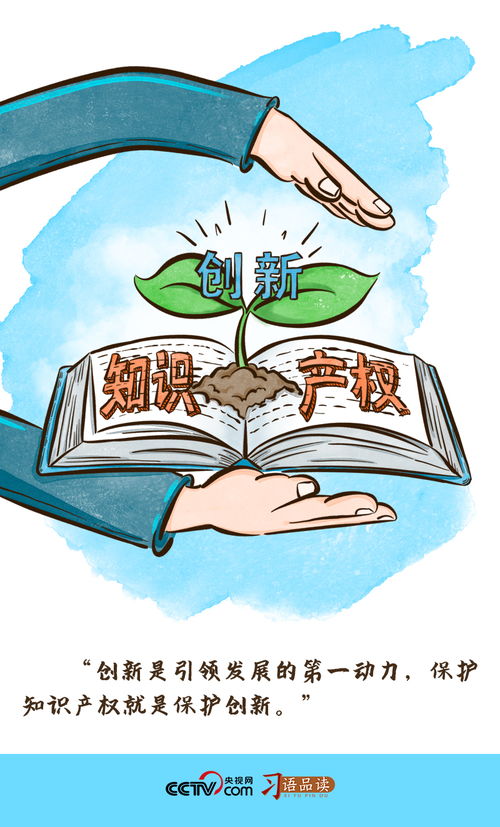 知识产权法律法规，保护创新的盾牌