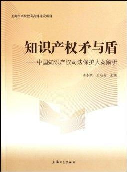 知识产权法律法规，保护创新的盾牌