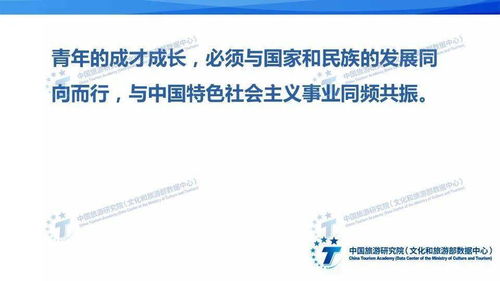 构建坚实的防线，公司内部控制的艺术与科学
